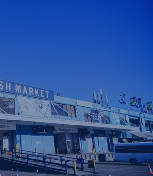 Sydney Fish Market