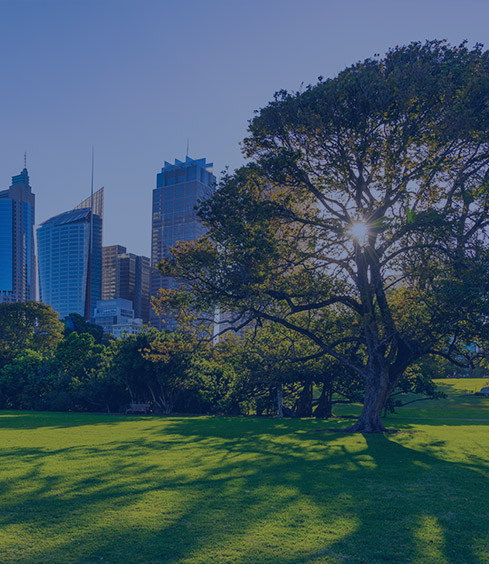 Royal Botanic Garden