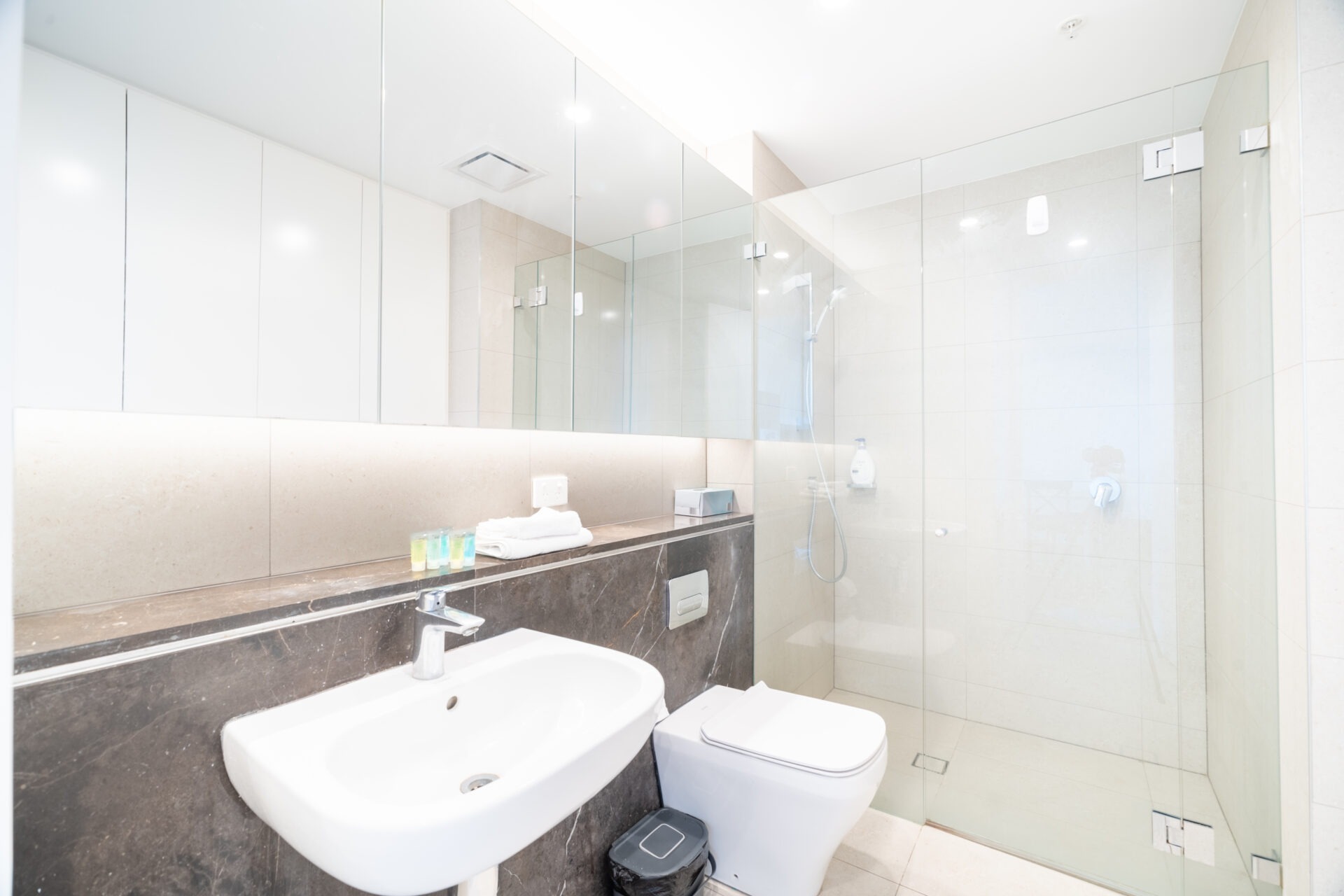Milsons Point 1 Bedroom Alfred Street MS128 -Sydney short term rentals