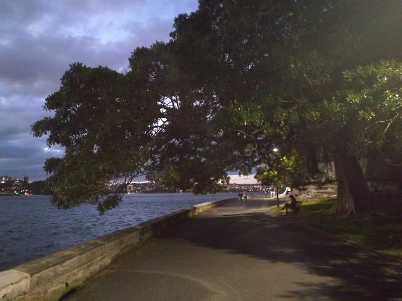 Royal Botanic Garden-Naomi Clark