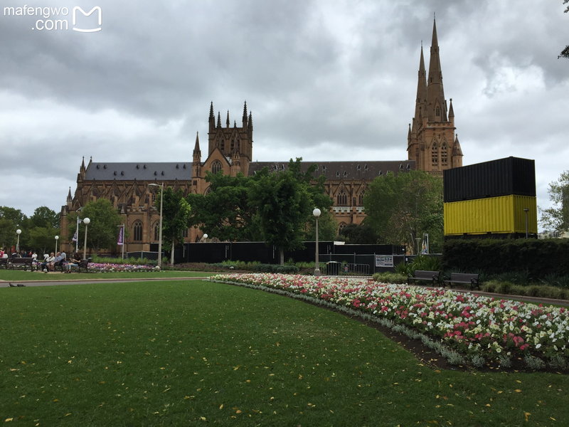 St Mary's Cathedral-Shane Sterling