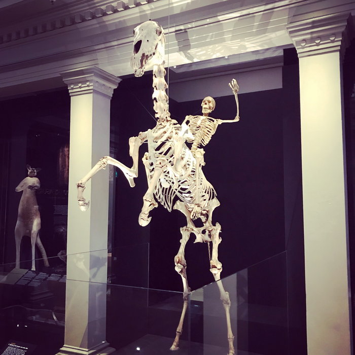 Australian Museum-Emma Edwards