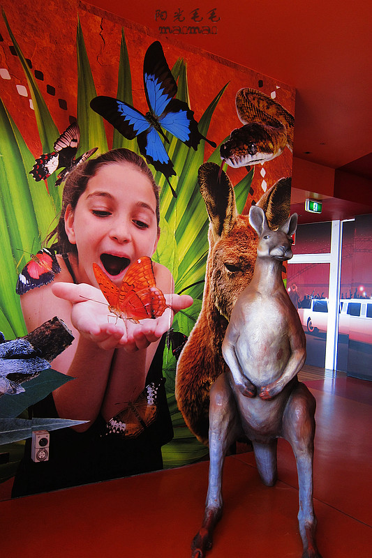 WILD LIFE Sydney Zoo-Aurora Mills