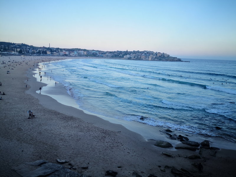 Bondi Beach-Eliza Stephens