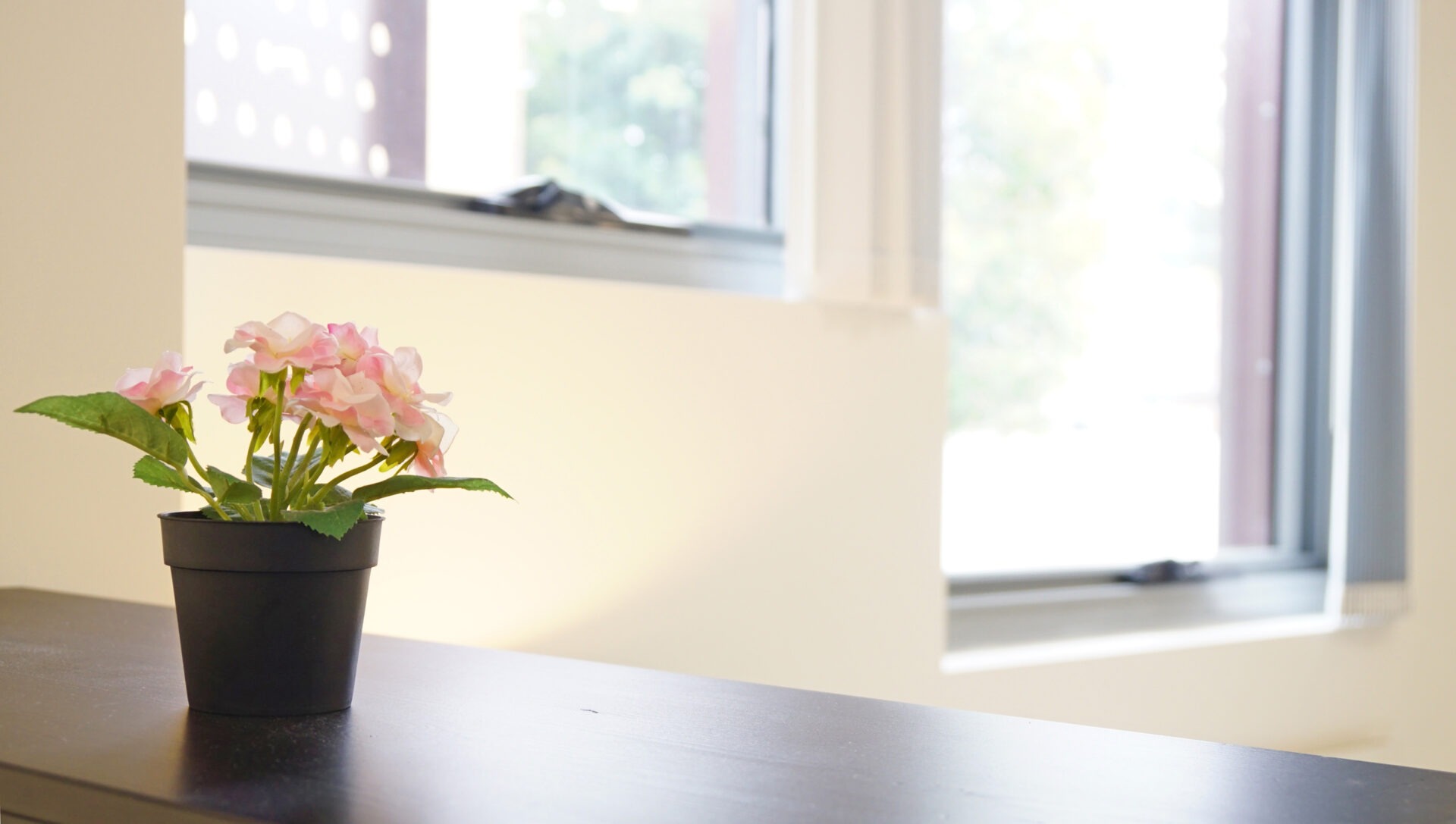 Dulwich Hill Studio Windsor Road DH001-Sydney short term rentals