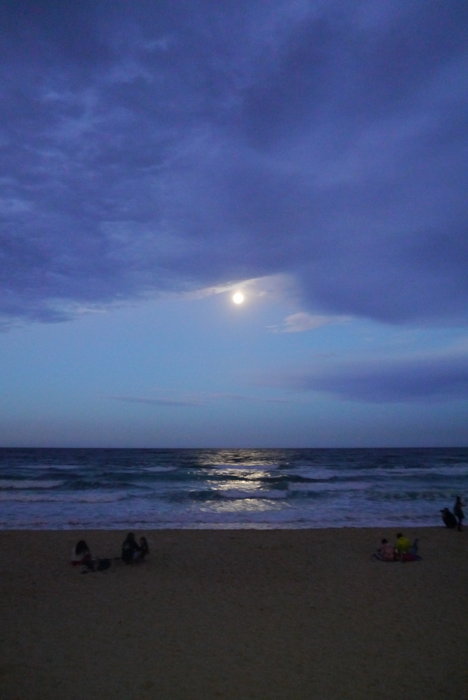 Manly Beach-Sofia Hendricks