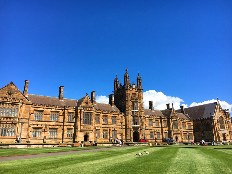 Sydney Uni-Wolf Brightshine