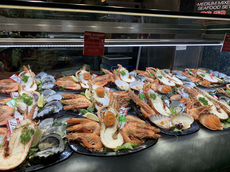 Sydney Fish Market-Chase Anderson