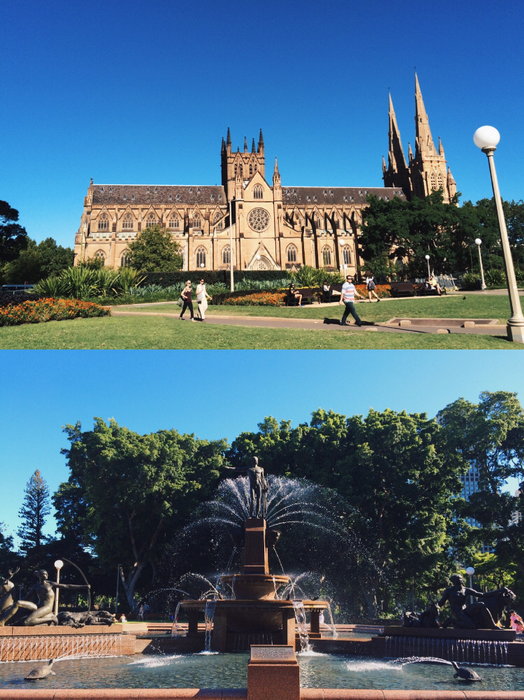 St Mary's Cathedral-Colin Fitzgerald