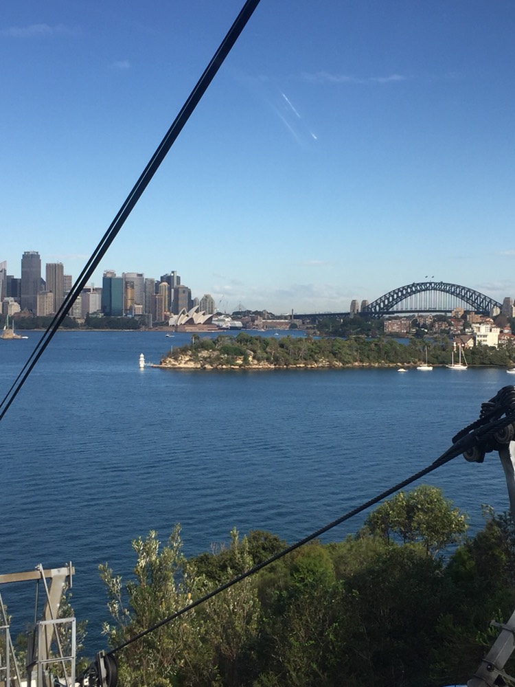 Taronga Zoo-Phoenix Nightrise
