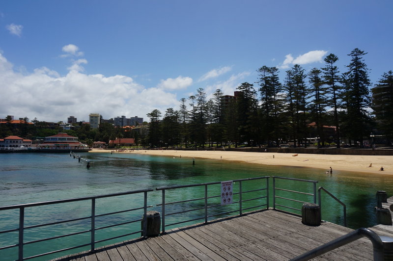 Manly Beach-Blake Blackwood