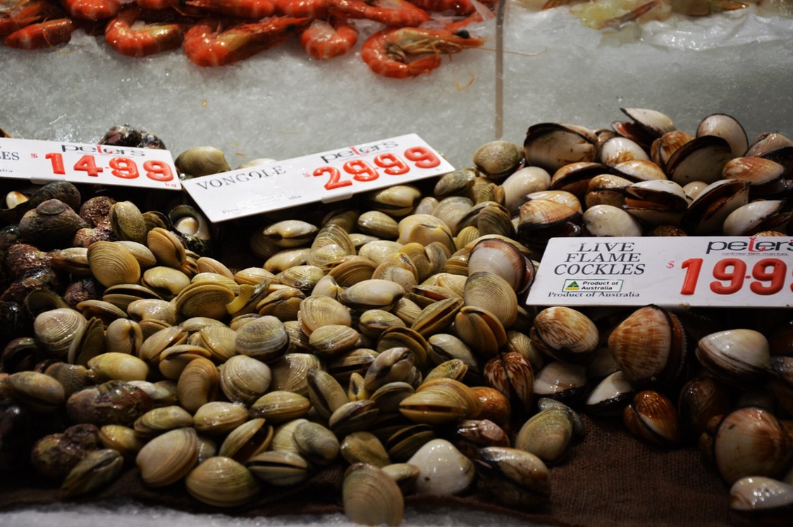 Sydney Fish Market-Miles Davis
