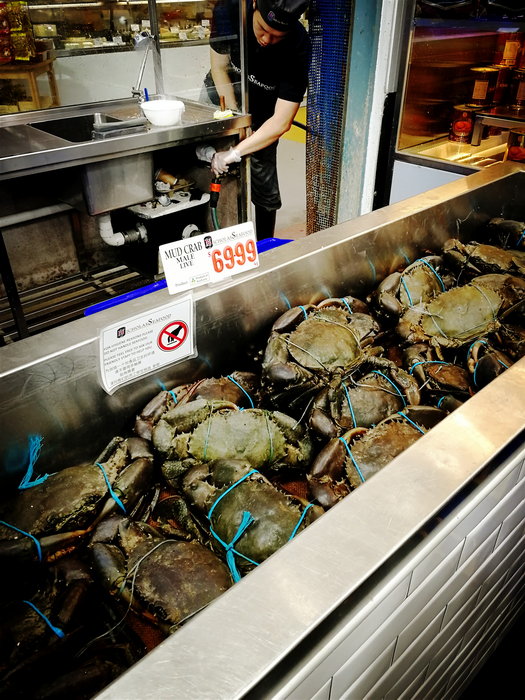 Sydney Fish Market-Chloe Campbell
