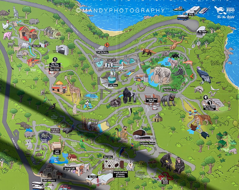 Taronga Zoo-Terra Goldleaf