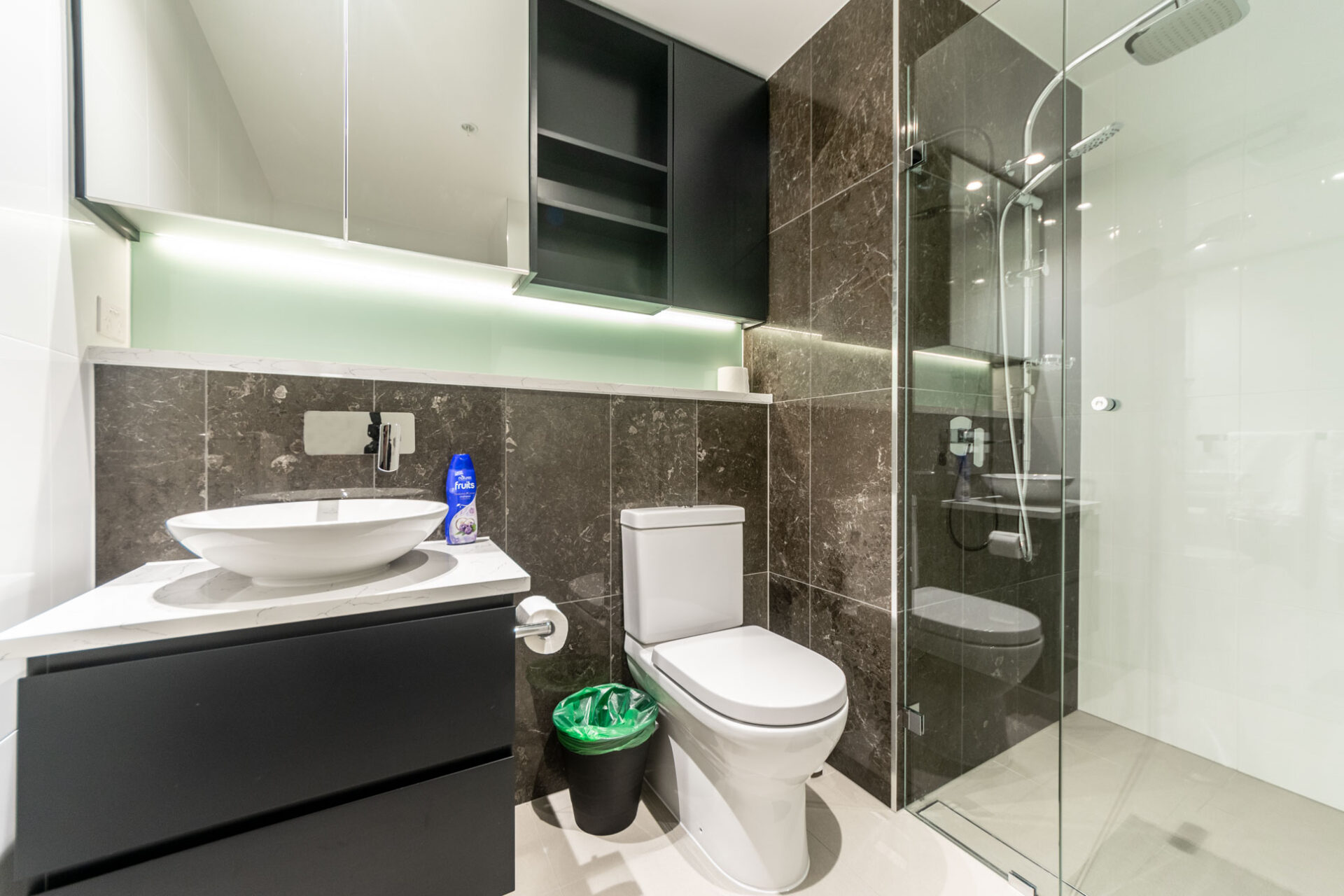 Meadowbank 2 Bedroom Bay Drive ME21-Sydney short term rentals