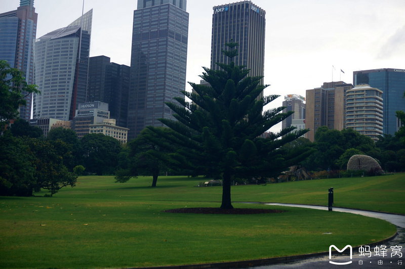 Royal Botanic Garden-Dylan Howard