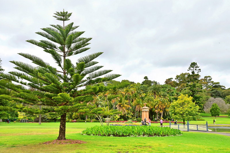 Royal Botanic Garden-Ian Mitchell