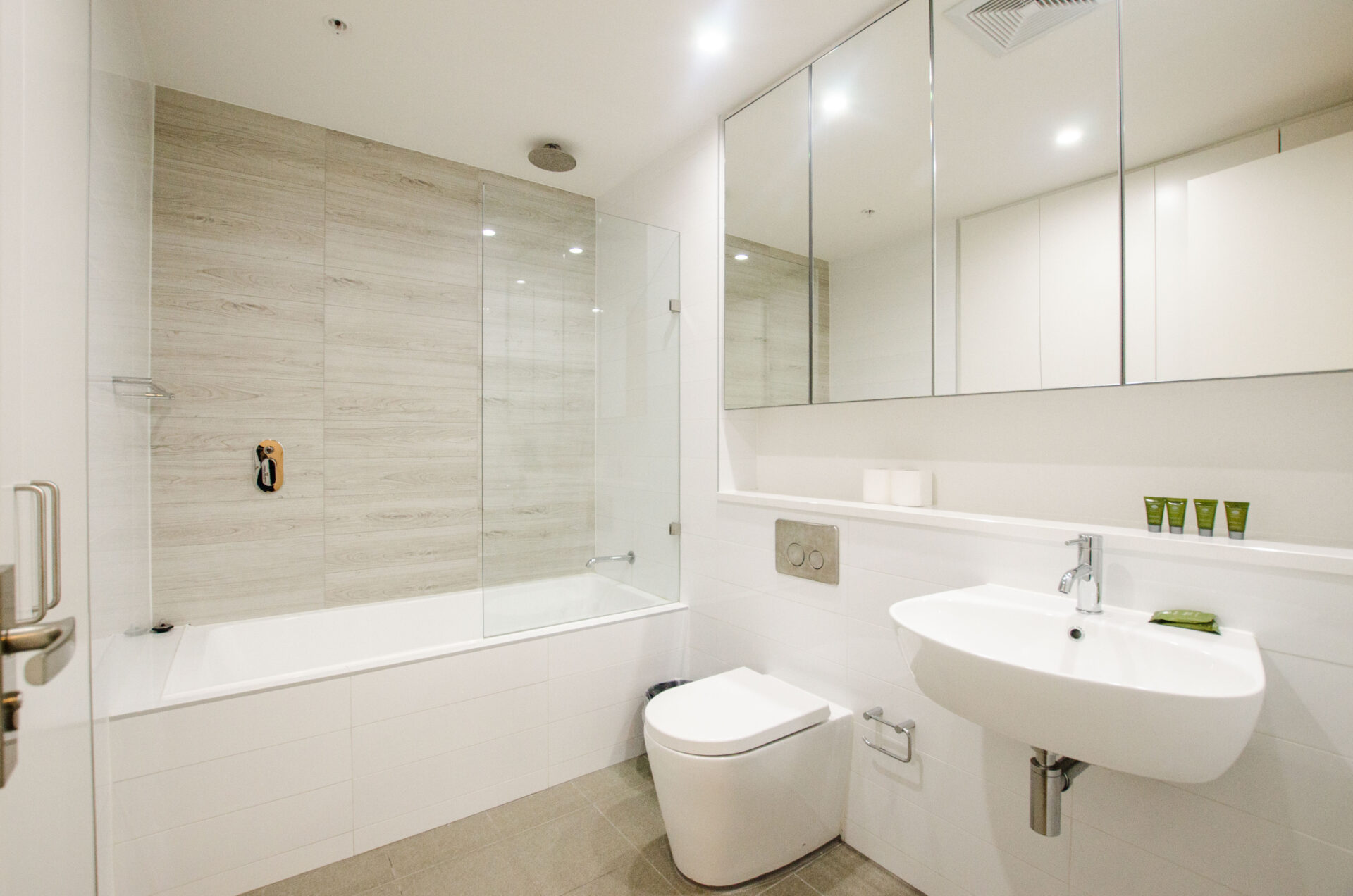 Mascot 2 Bedroom Church Avenue MAS4-Sydney short term rentals