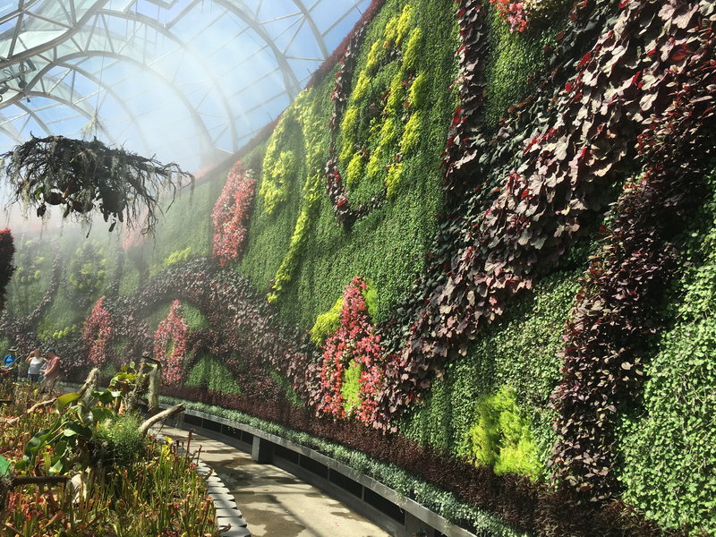 Royal Botanic Garden-Valerie Brown