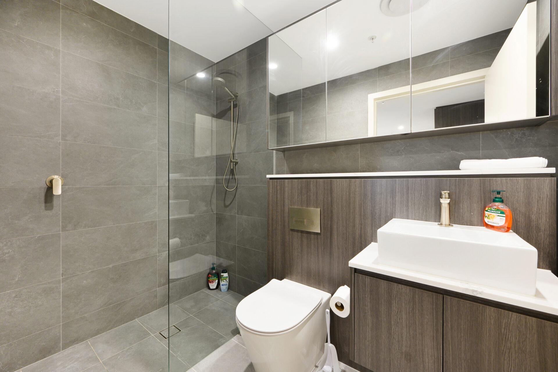 Strathfield South 2 Bedroom Water Street SS242-Sydney short term rentals