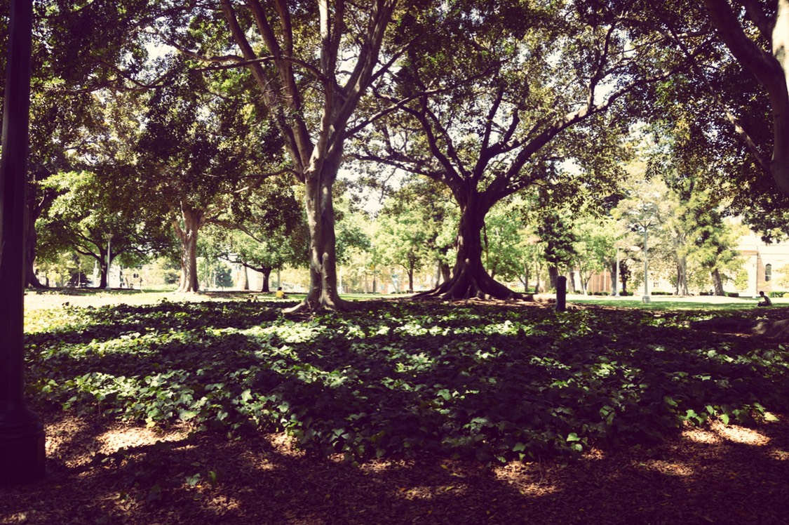 Hyde Park-Michael Fraser