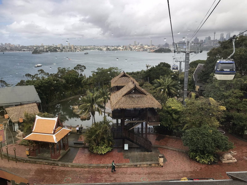 Taronga Zoo-Vale Ravenbrook
