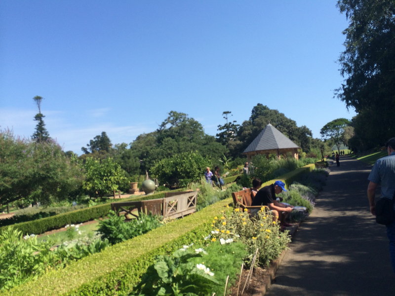 Royal Botanic Garden-Lydia Wright