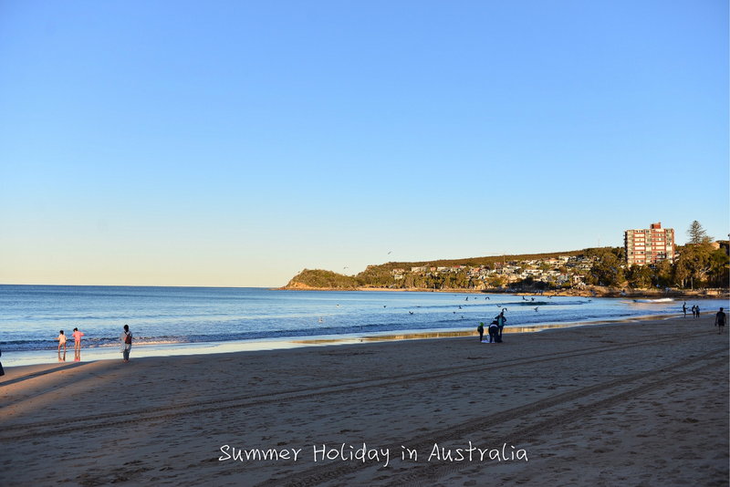 Manly Beach-James Callahan