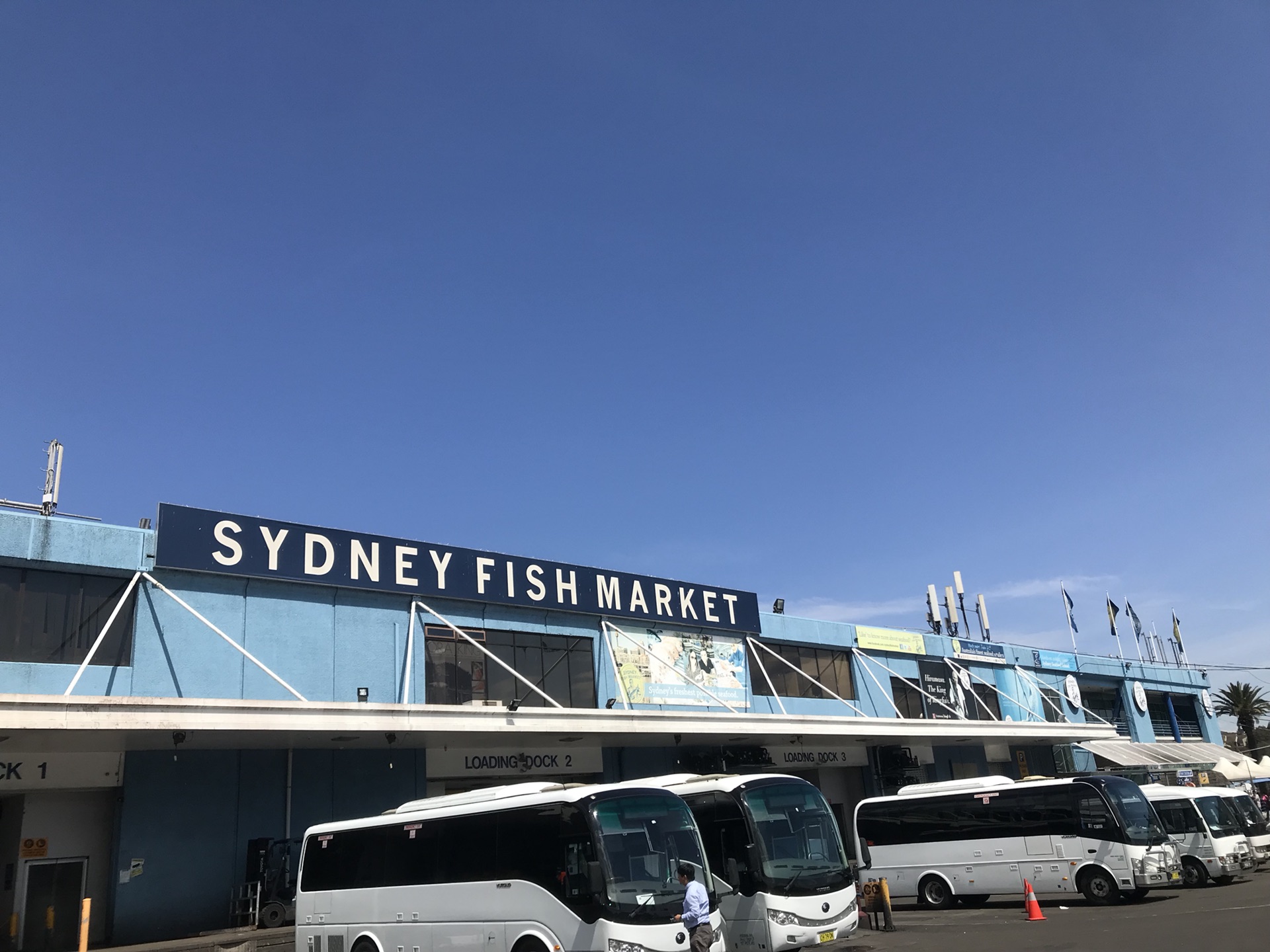 Sydney Fish Market-Aiden Hughes