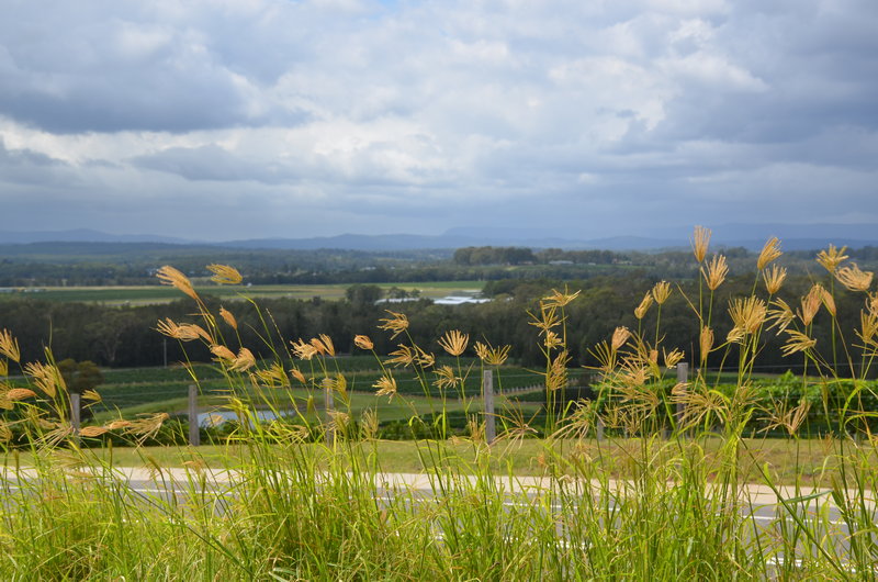 Hunter Valley-Kai Donovan