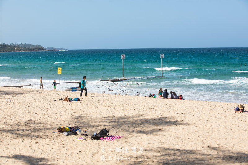 Manly Beach-Harper Callahan