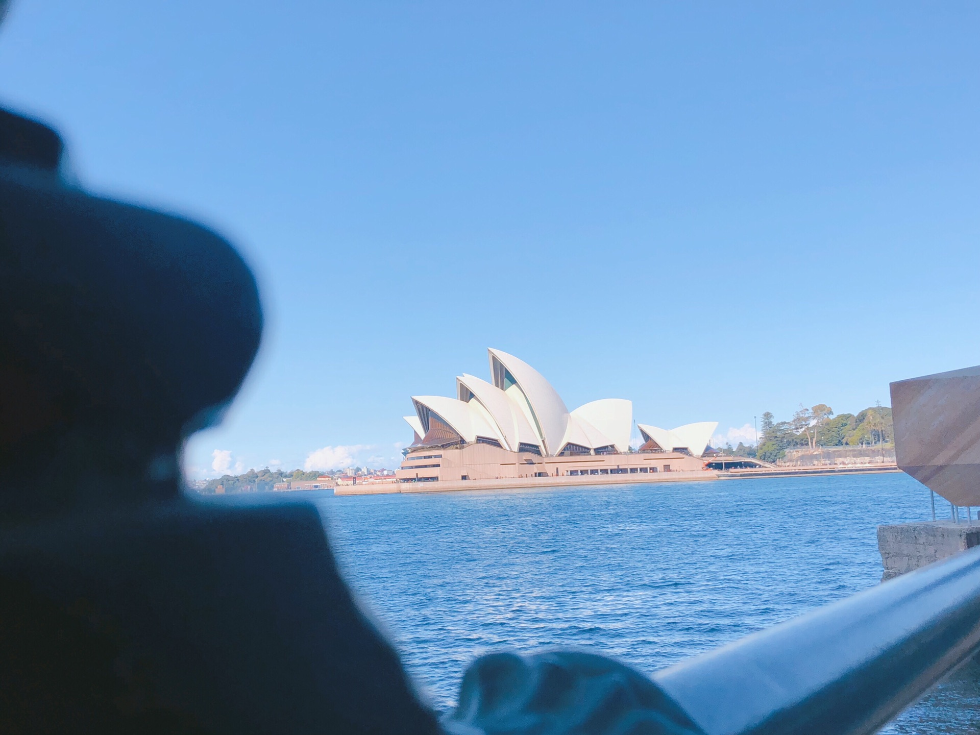 Sydney Harbour Bridge-Charlotte Henderson