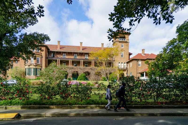 Sydney Uni-Kai Dawnwood