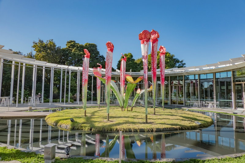 Royal Botanic Garden-Adam Hughes