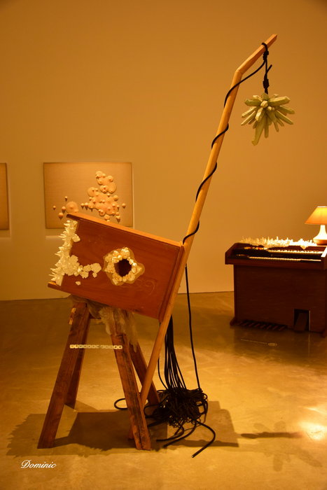 Australian Museum-Mason Phillips