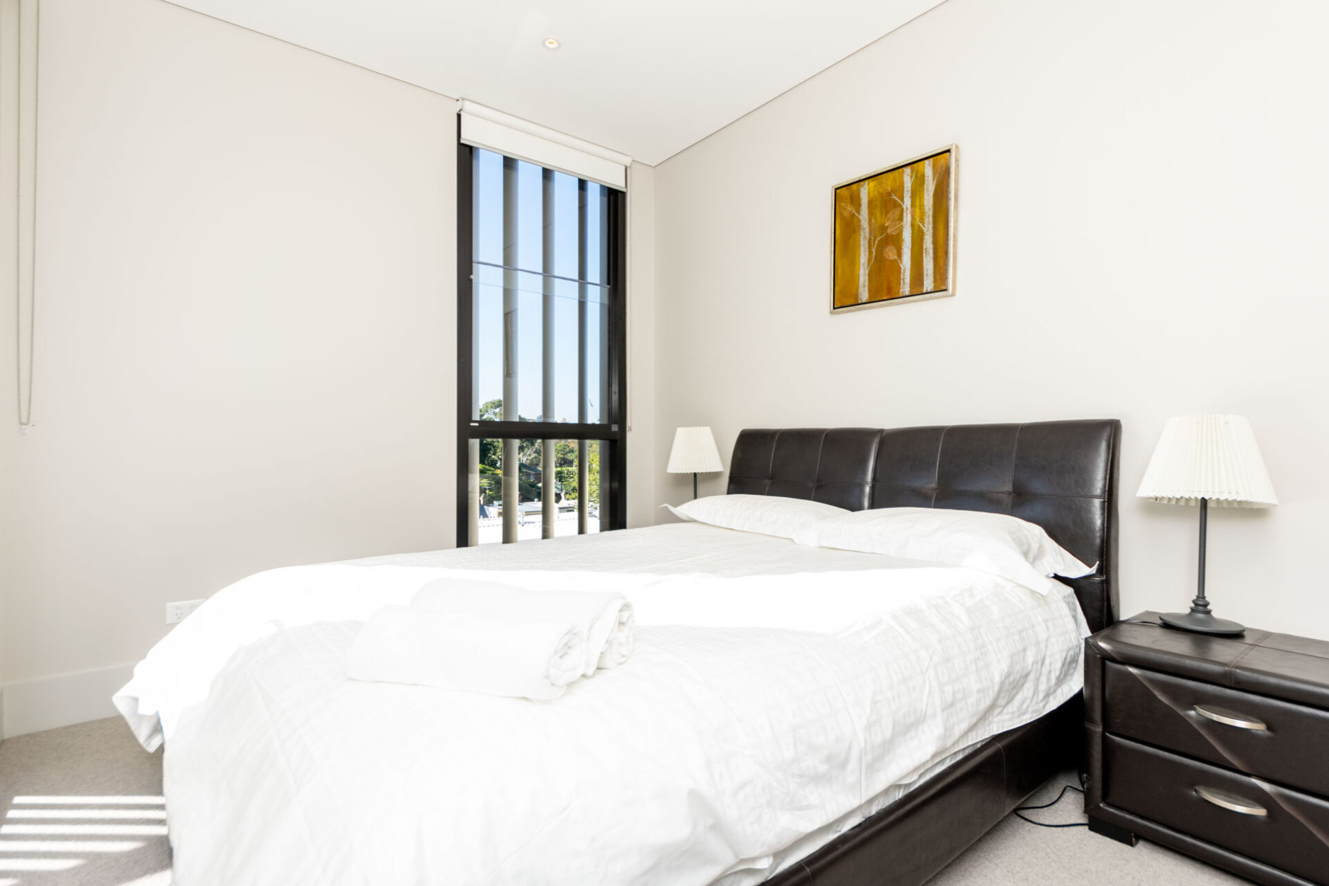 Summer Hill 2 Bedroom Smith Street SH19-Sydney short term rentals