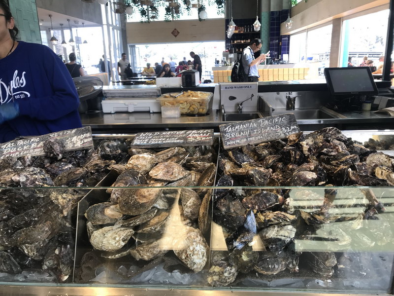 Sydney Fish Market-Aiden Hughes