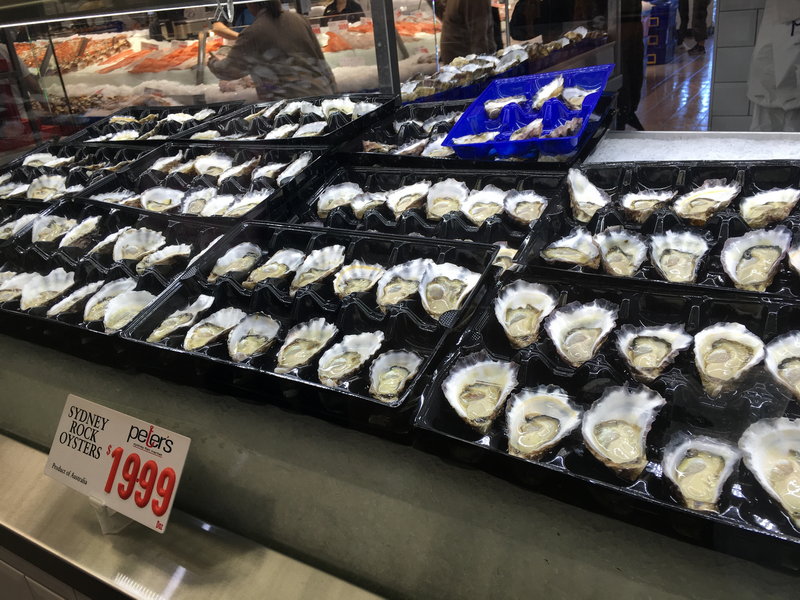 Sydney Fish Market-Benjamin Palmer