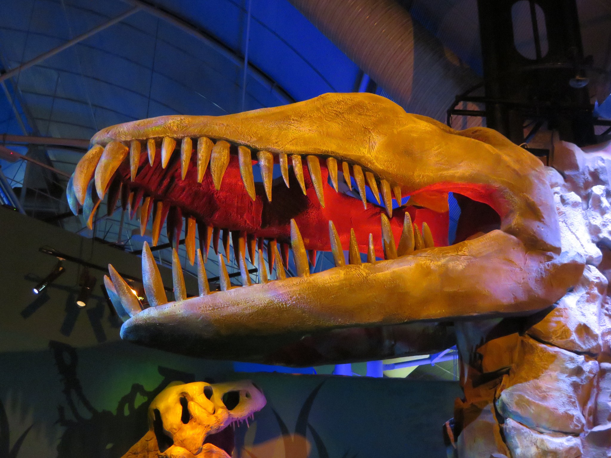 SEA LIFE Sydney Aquarium-Michael Ward