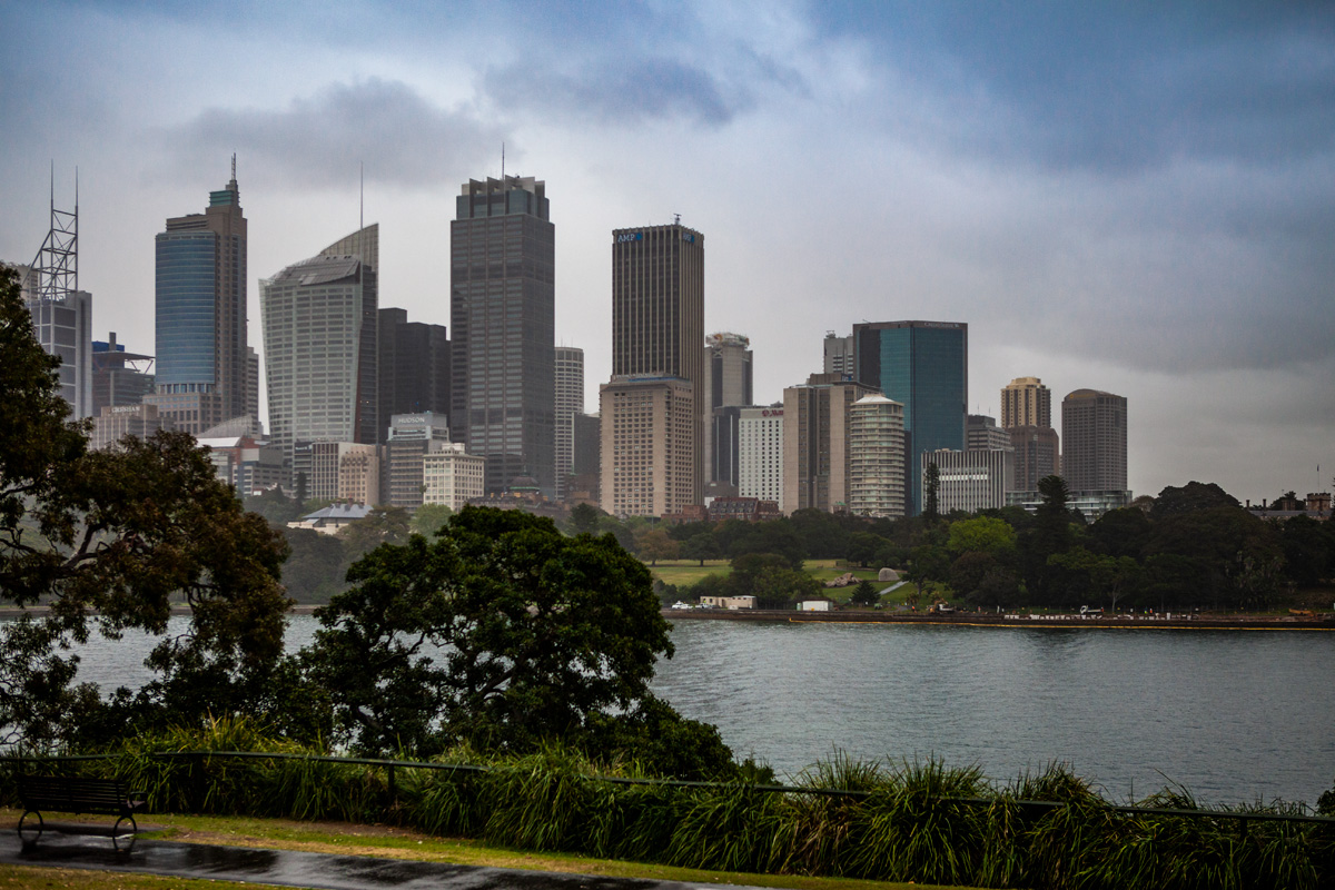 Royal Botanic Garden-Brandon King