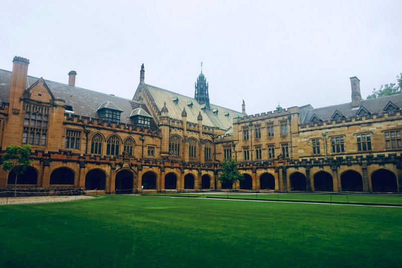 Sydney Uni-Ivy Ravenlight