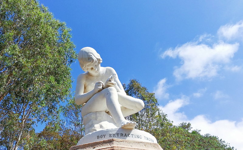Royal Botanic Garden-Rachel Turner