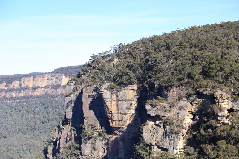 Blue Mountains-Lotus Winchester