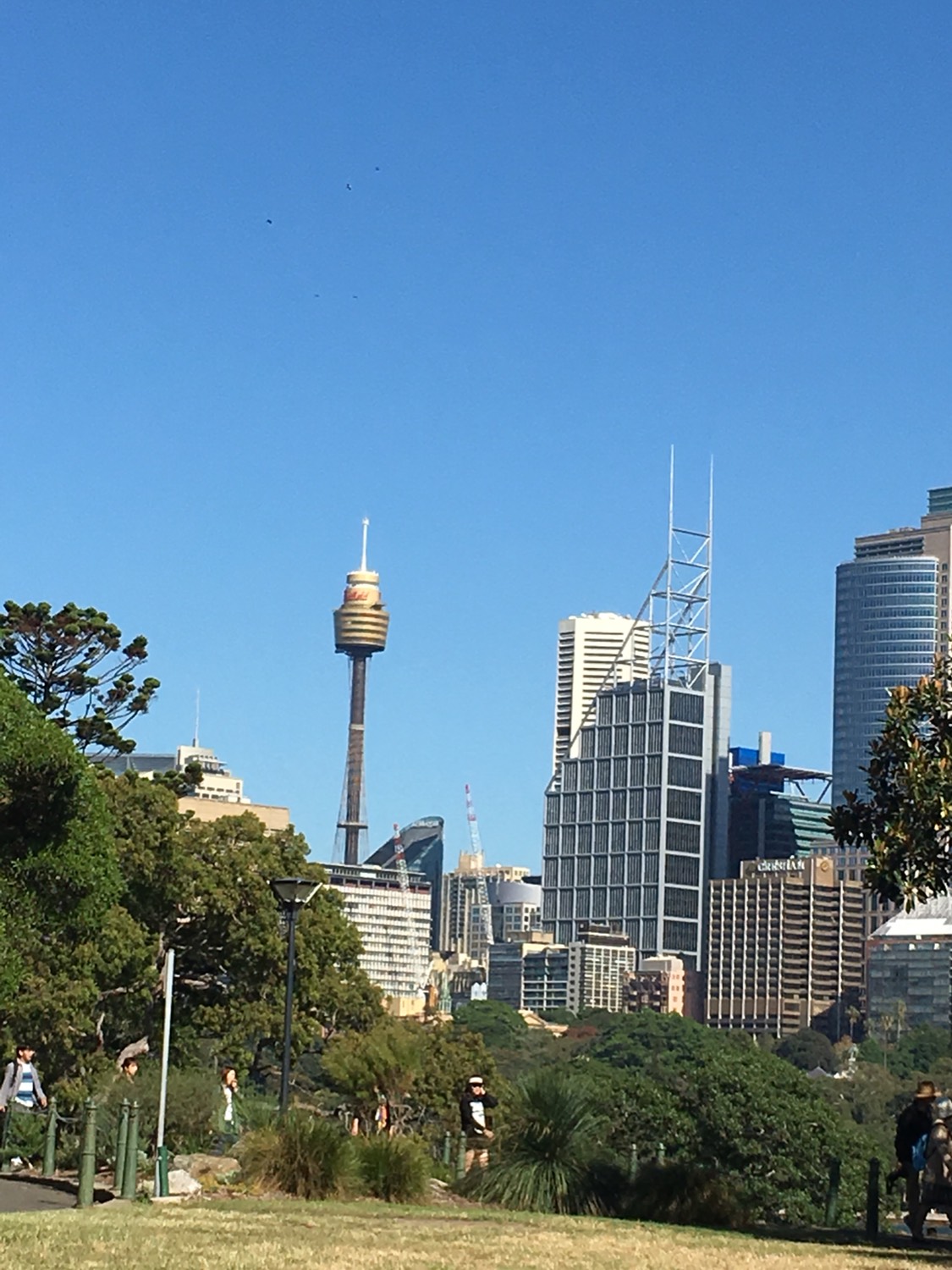 Sydney Tower Eye-Austin Palmer