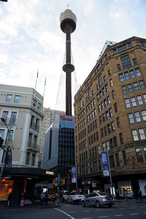 Sydney Tower Eye-Lucia Griffin
