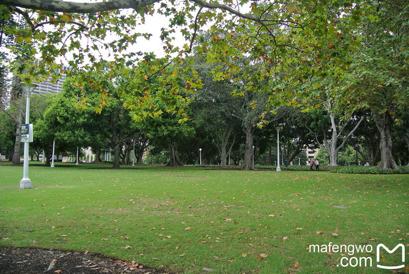 Hyde Park-Isabella Martinez