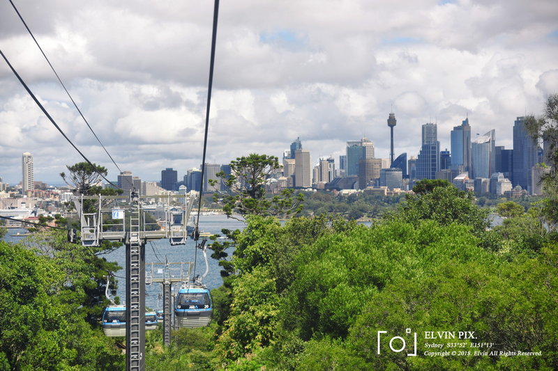 Taronga Zoo-Atlas Dawnrise