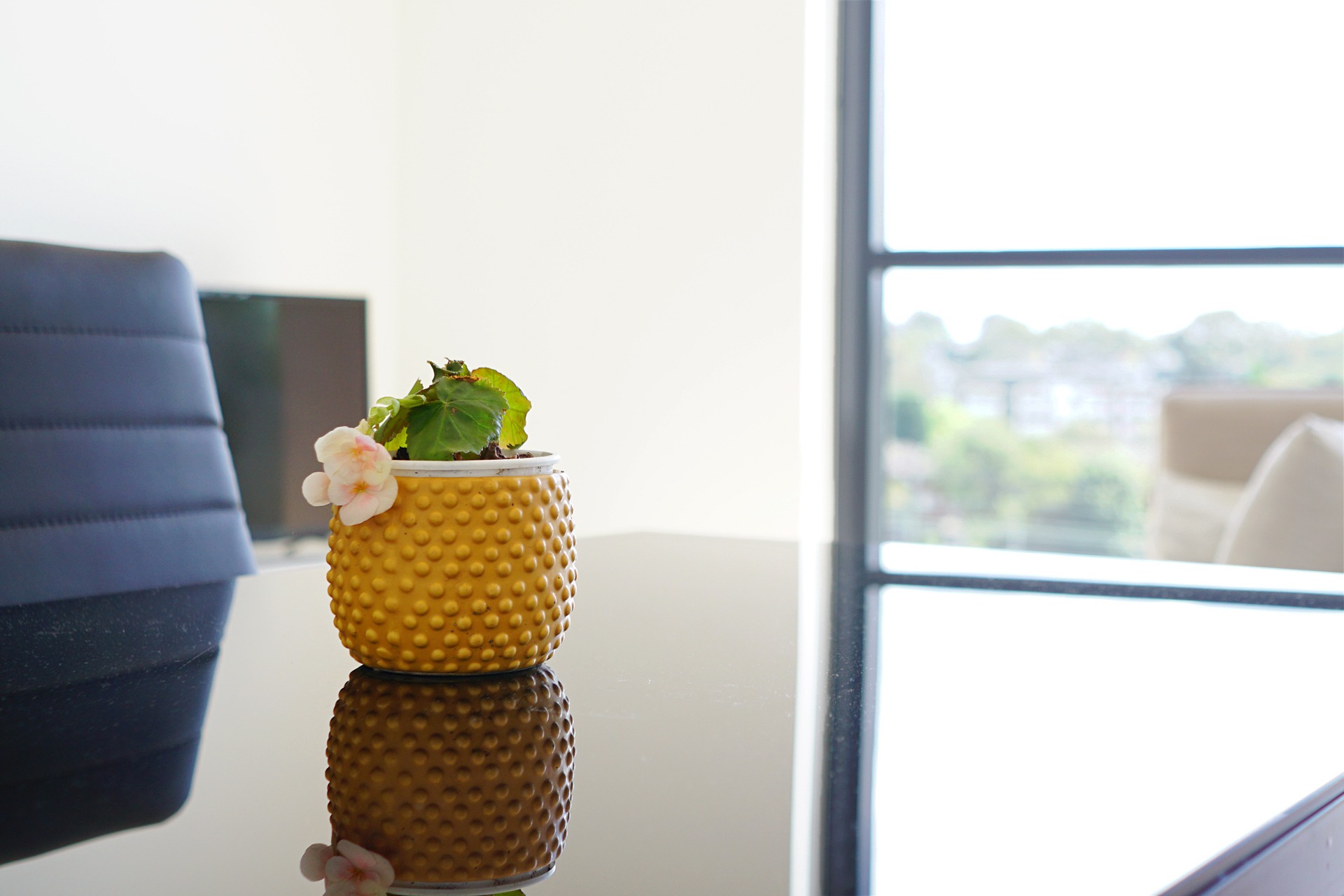 Eastwood 1 Bedroom Rutledge Street EW1201-Sydney short term rentals