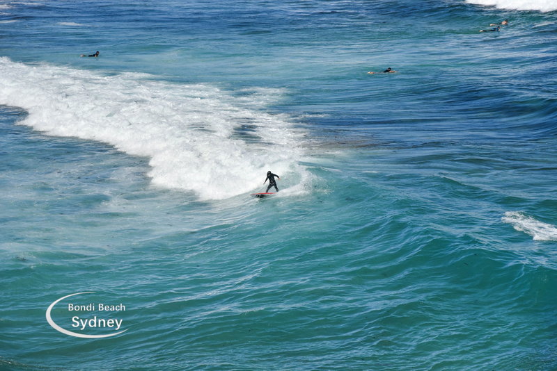 Bondi Beach-Elizabeth Parker