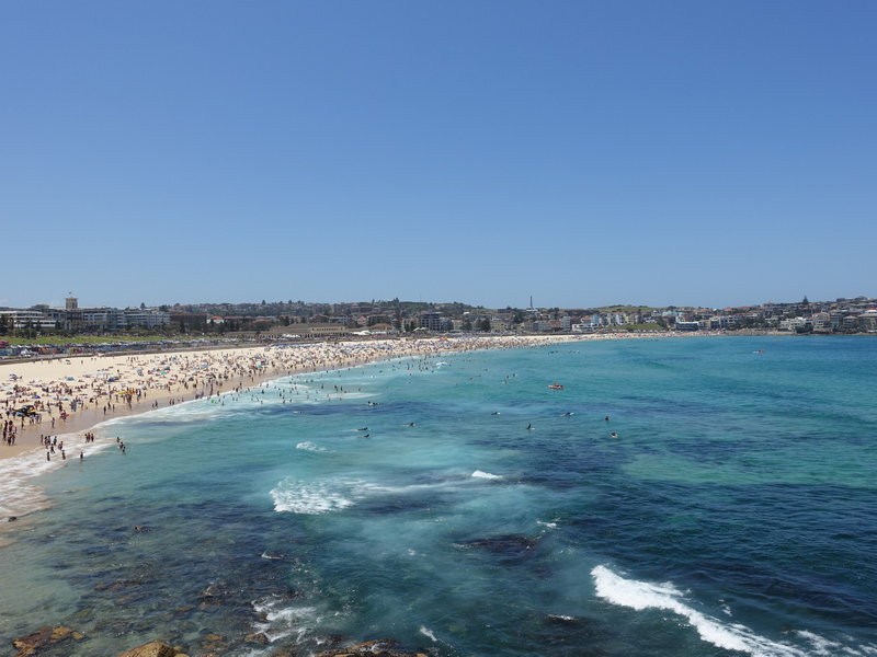 Bondi Beach-Chloe Wells